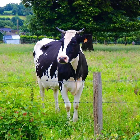 L'auberdiere Casa vacanze