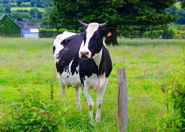 L'auberdiere Σπίτι διακοπών